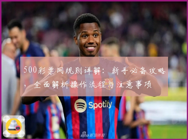 500彩票网规则详解:新手必备攻略,全面解析操作流程与注意事项